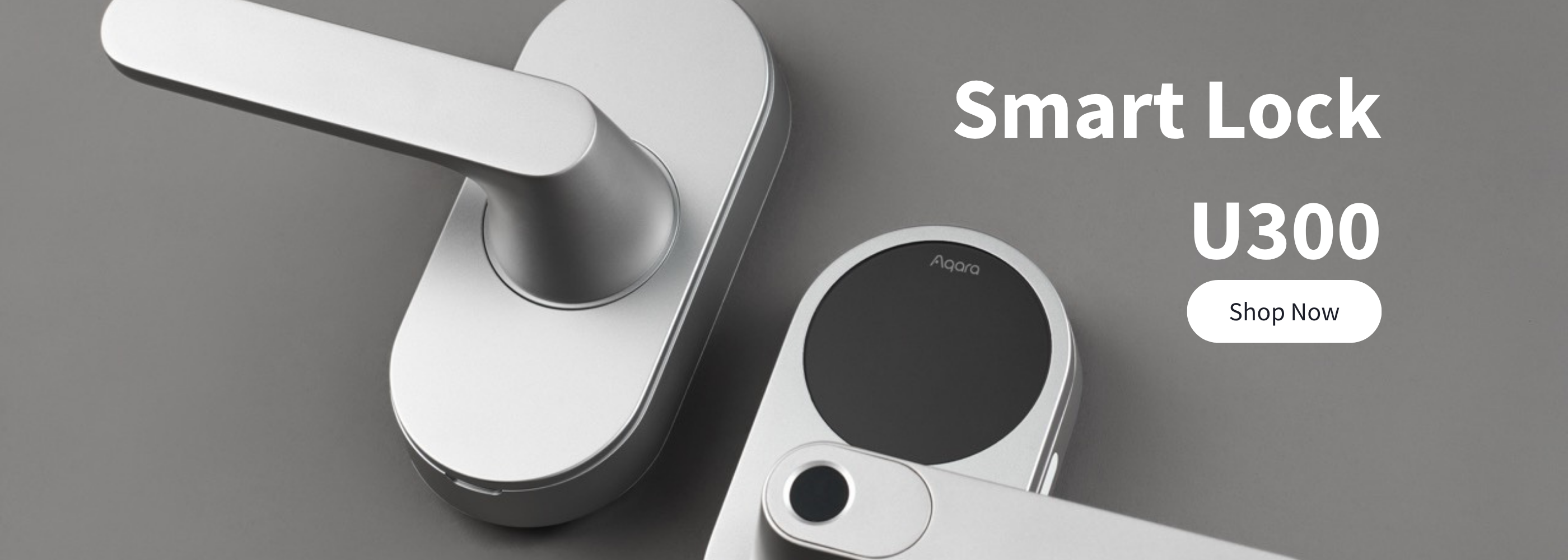 Smart Lock U300 Desktop